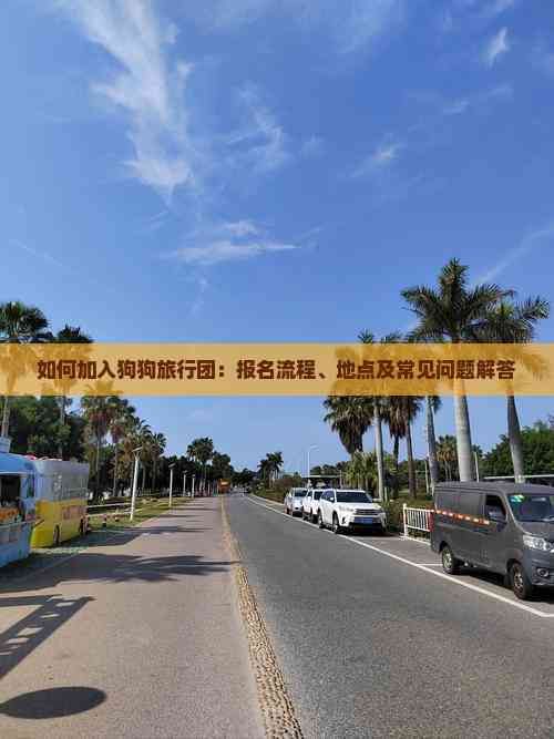 如何加入狗狗旅行团：报名流程、地点及常见问题解答