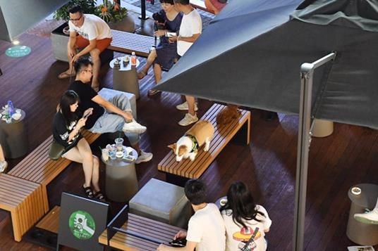 吸宠社交了解一下 全国首个宠物友好街区“旺街”萌袭津门 第4张