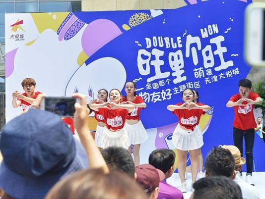 吸宠社交了解一下 全国首个宠物友好街区“旺街”萌袭津门 第5张