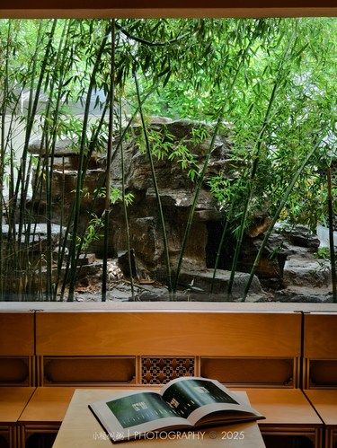 济南中山公园！我可以在这里待一整天（live