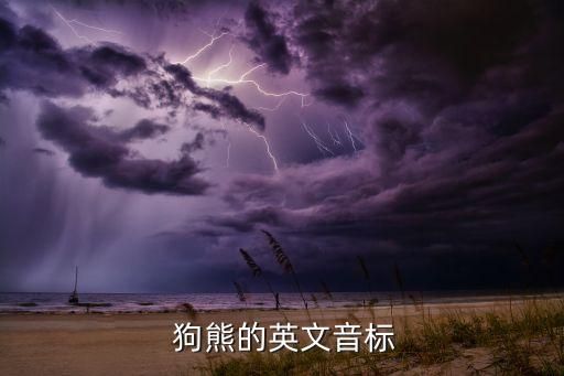  狗熊的英文音标