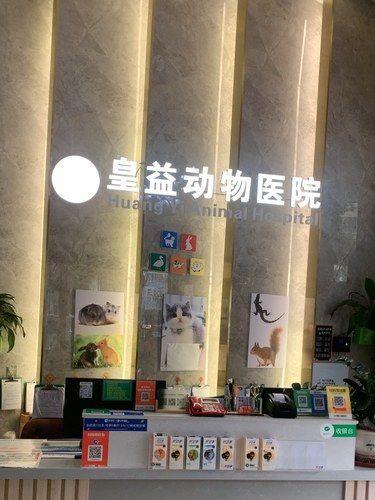 宠物医院强烈种草！！