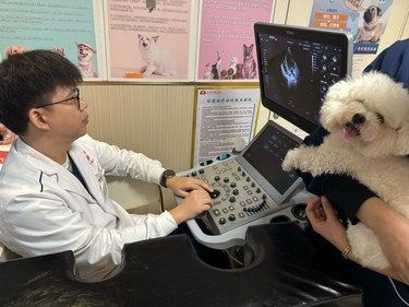 皇益宠物医院现在心脏超声检查只需要99元