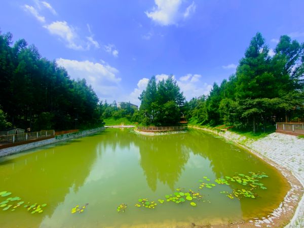 舒心度假，精彩森林——黑熊·森林里度假区五一正式开园！