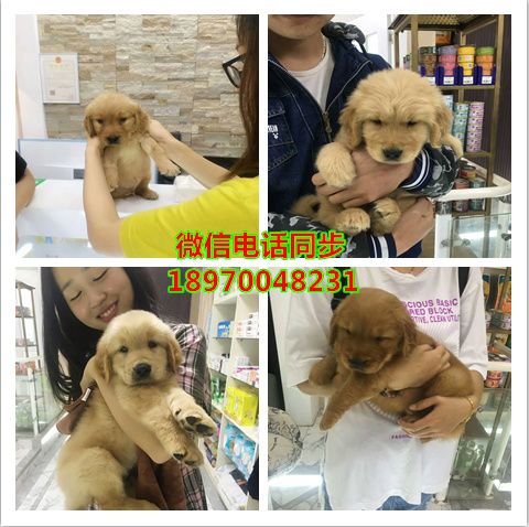 怀化附近哪里有店：信息