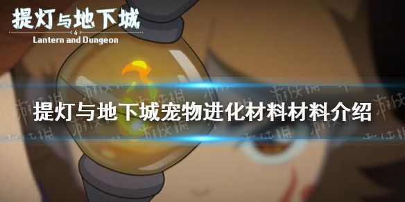 提灯与地下城宠物进化材料材料要多少