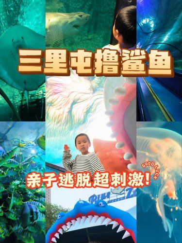 三里屯地下能入海？亲子撸鲨鱼，超前又刺激！