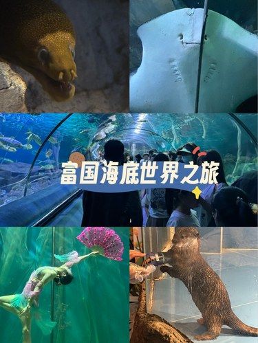 北京唯一引进小水獭的海洋馆