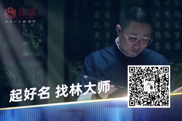 好听搞笑的猫咪名字100个