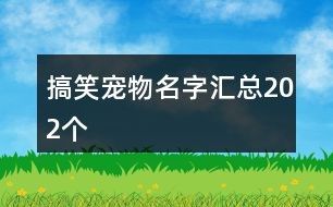 搞笑宠物名字汇总202个