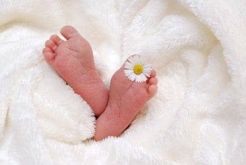 新生儿取名免费查询系统（精选1188个）