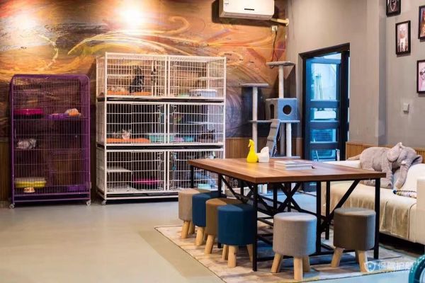 宠物店装修颜色效果图-保驾护航装修网
