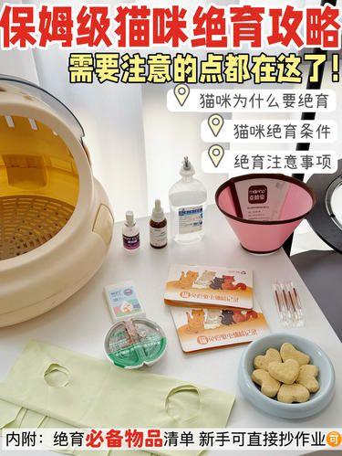 猫咪绝育攻略！新手铲屎官必看