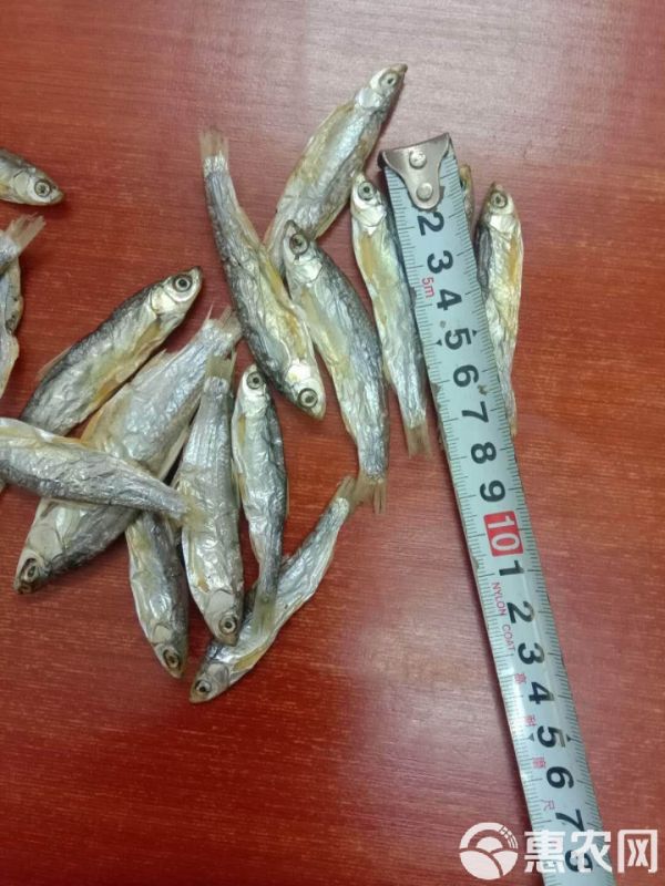 宠物饲料 淡水无盐小鱼干小鱼仔小杂鱼没破肚皮猫粮宠物粮鱼干