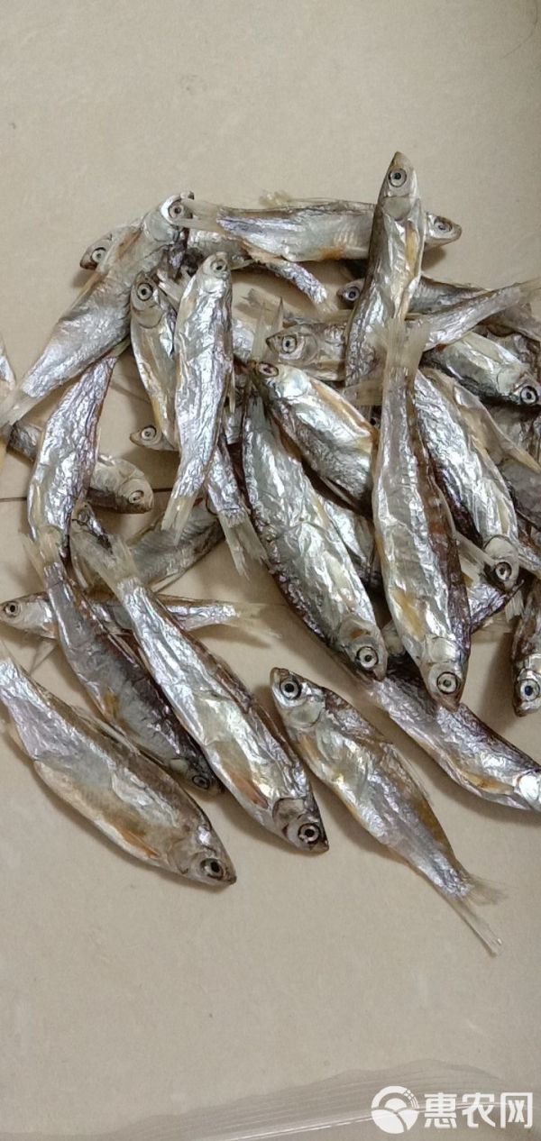 宠物饲料 淡水无盐小鱼干小鱼仔小杂鱼没破肚皮猫粮宠物粮鱼干