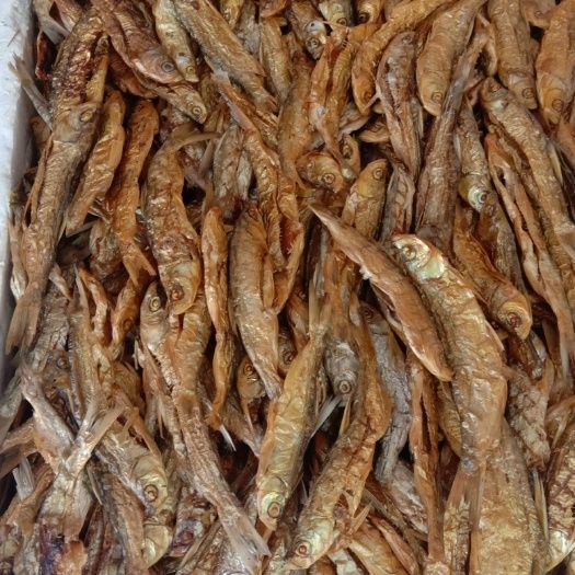 翘嘴白鱼干 火培鱼火培烤干鱼火培翘嘴鱼干大小翘嘴
