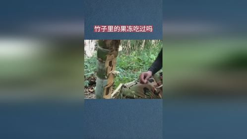 竹子里面竟然有果冻