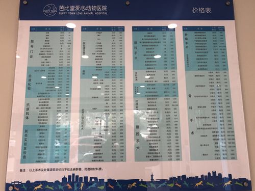 宠物医院镜检多少钱,宠物医院检查价格
