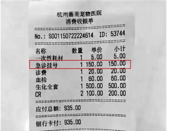 宠物医院照x光价格,宠物店照x光多少钱