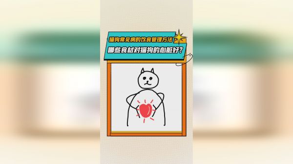 哪些食材对猫狗的心脏好？