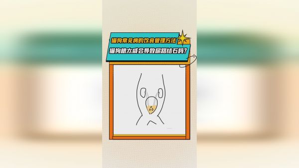猫狗粮太咸会导致尿路结石吗？