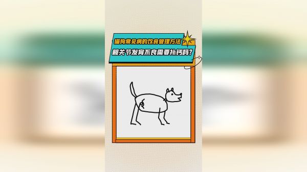 狗狗髋关节发育不良需要补钙吗？