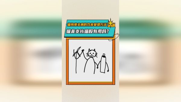 猫鼻支补猫胺有用吗？