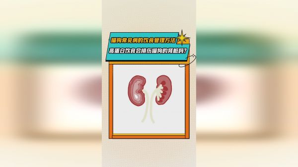 高蛋白饮食会损伤猫狗的肾脏吗？