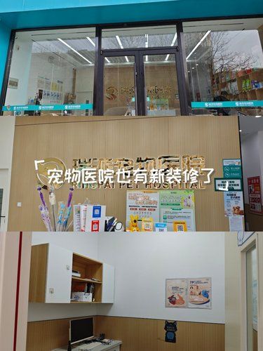 医术超赞 医心更美~