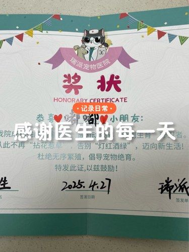 带着毛孩子绝育的一天