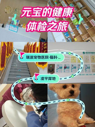 小狗来体检了，非常满意