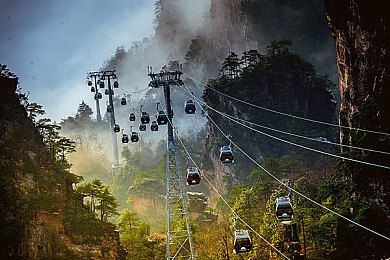 男人和雌性宠物交啪啪｜宠物性侵事件引发伦理道德风波，社会关注动物权益与法律制裁-3
