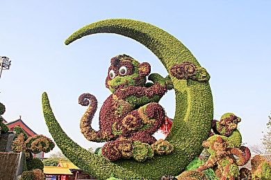 男人和雌性宠物交啪啪｜宠物性侵事件引发伦理道德风波，社会关注动物权益与法律制裁-4