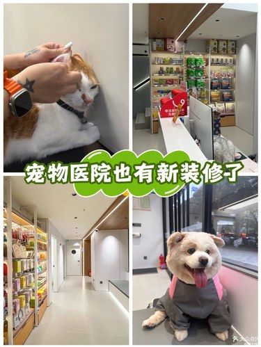 宠物医院也有新装修了