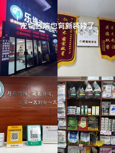 宠物医院也有新装修了