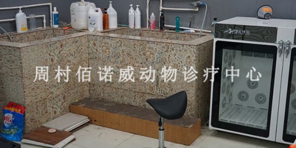 邹平齐明雅苑附近的正规宠物医院体检,宠物医院