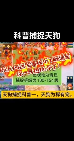梦幻西游网页版宠物频道怎么发布？发布宠物技巧是什么？-第1张图片-5440游戏网
