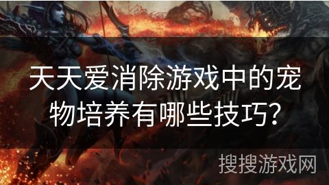 天天爱消除游戏中的宠物培养有哪些技巧？