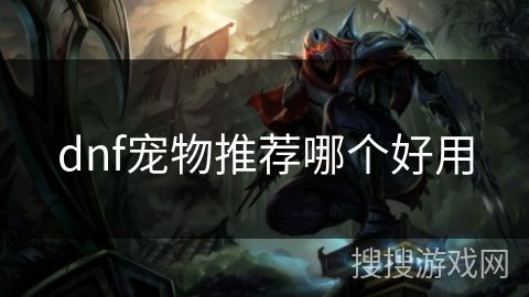 dnf宠物推荐哪个好用