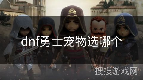 dnf勇士宠物选哪个