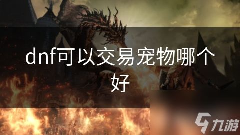 dnf可以交易宠物哪个好