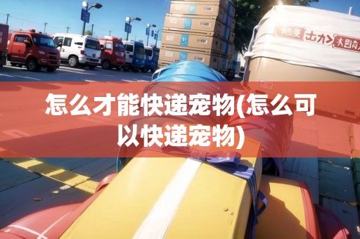 怎么才能快递宠物(怎么可以快递宠物)