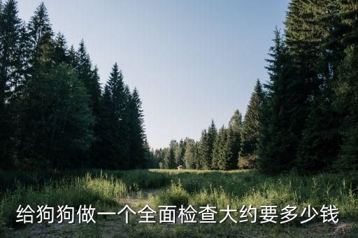 给狗狗做一个全面检查大约要多少钱