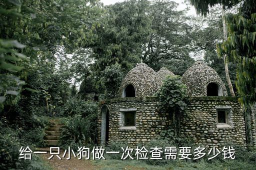 给一只小狗做一次检查需要多少钱