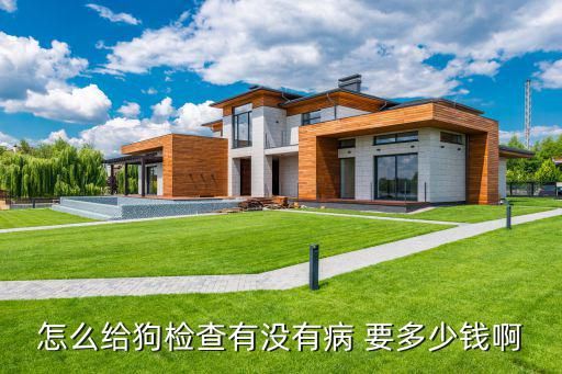 怎么给狗检查有没有病 要多少钱啊