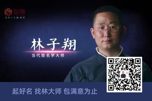有创意的宠物名字最新