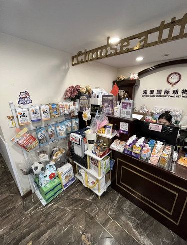 让毛孩子安心的治愈系宠物医院
