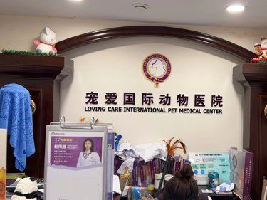 带毛孩子看病的一天