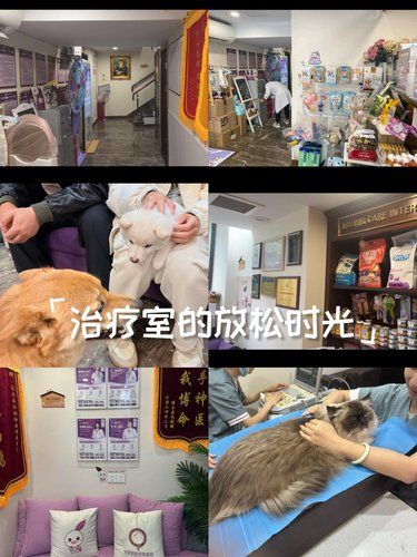 专业护理宠爱自己