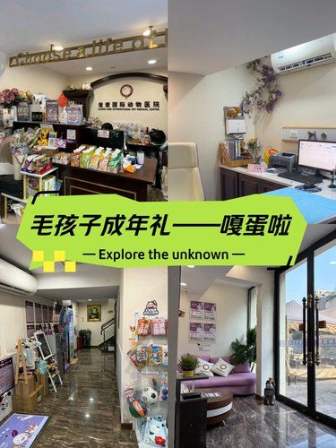 喜提新身份——猫太监[笑哭]